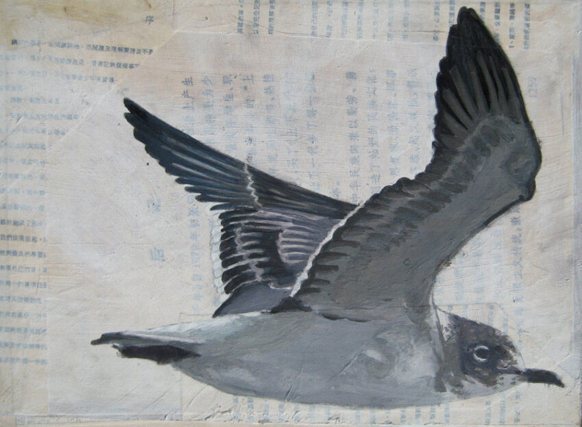 Yu Wei Pan, Goéland
