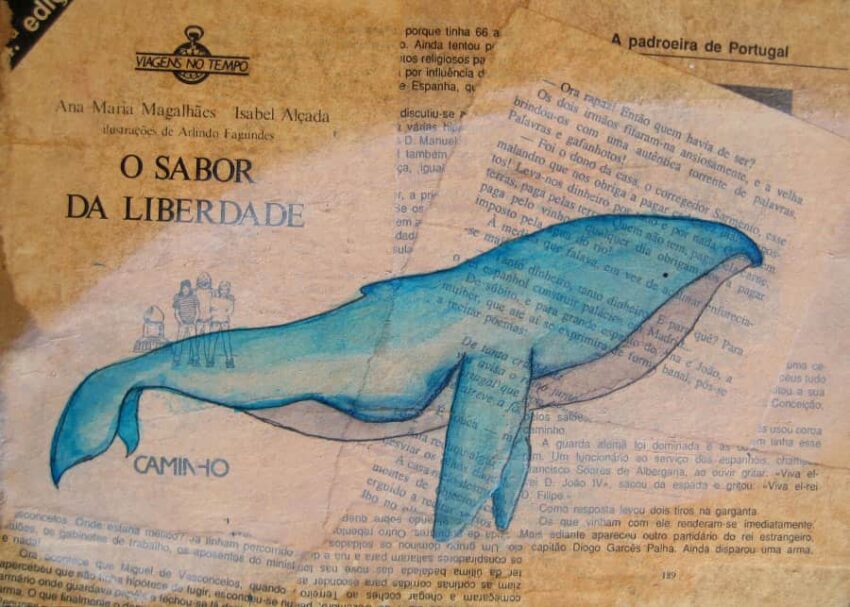 Marina Silva, Baleine à Bosse