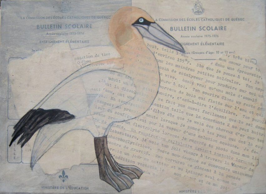 Elisabeth Harton, Fou de Bassan