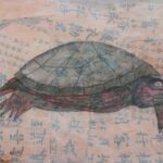 Tortue peinte de l'est