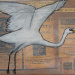 Aigrette Blanche