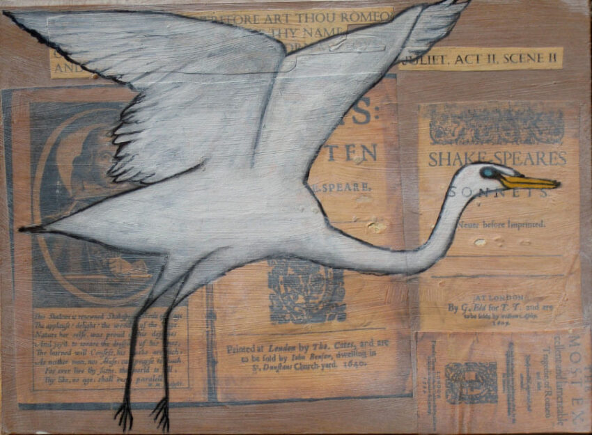 Kimberly D. Delva, Aigrette Blanche