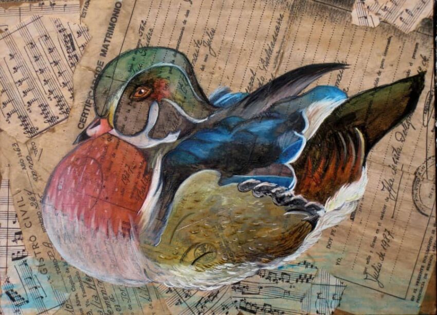 Lucila Baldassarre, Canard Branchu